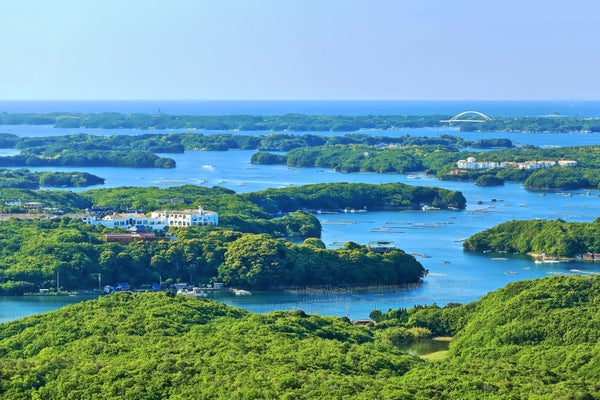 『伊勢神宮外宮・内宮両宮参り 「志摩観光ホテル」海の幸フランス料理2日間/ザ ベイスイート』<ロイヤルクルーザー四季の華>2